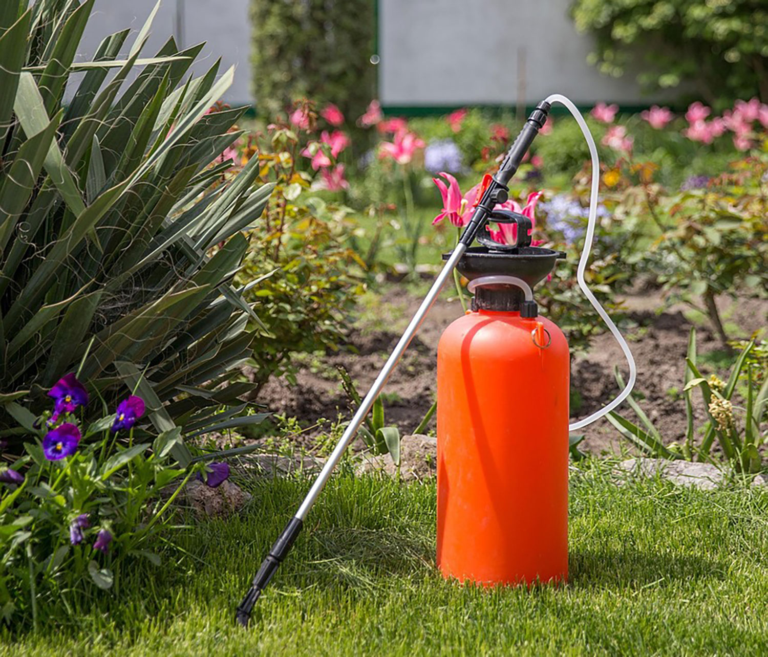 Fertilizer application timed to the lawn's growth stage in East Central Indiana
