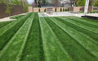 Why Muncie’s Clay Soil and Freeze-Thaw Cycles Demand Professional Landscape Architecture